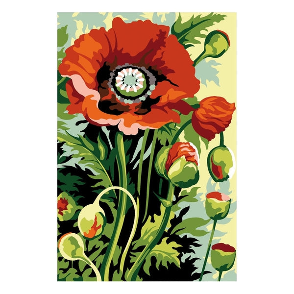 Coquelicot