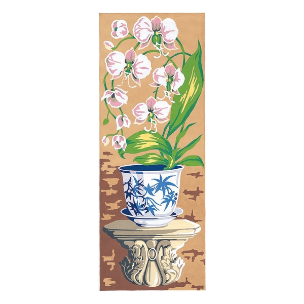 Orchidea II
