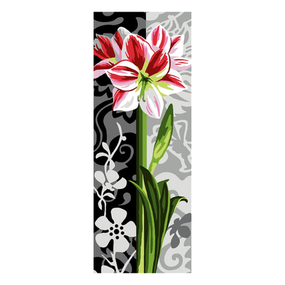 Amaryllis