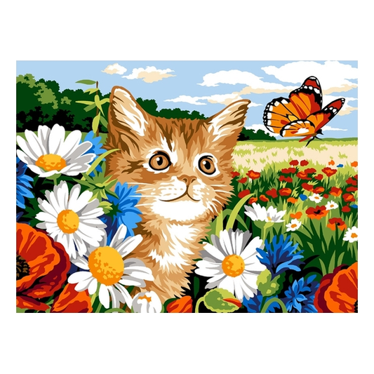 Chaton et papillon