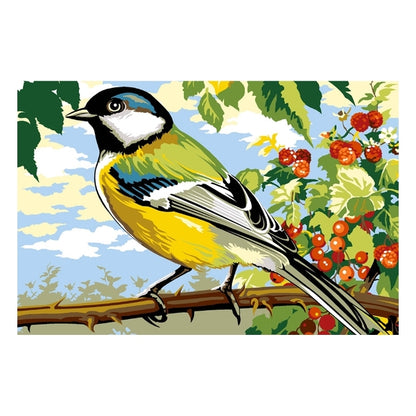 Mésange.
